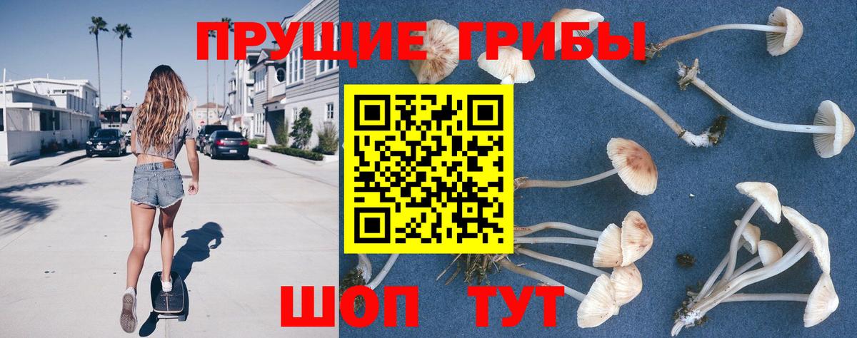 Псилоцибиновые грибы MAGIC MUSHROOMS  Вход с VPN  закладка  Семёнов  Галлюциногенные грибы Psilocybine cubensis 