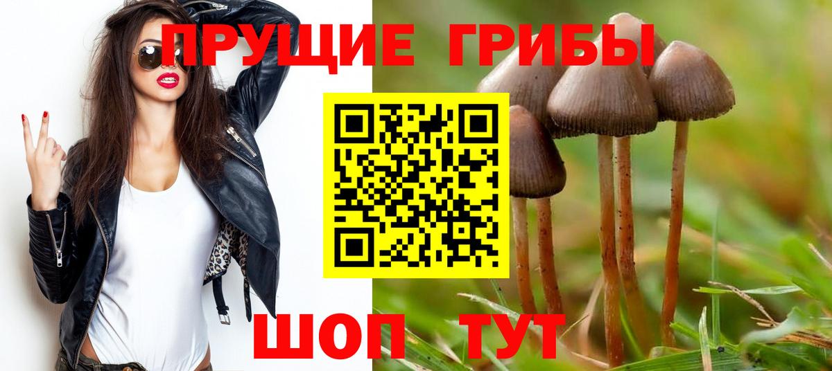 Галлюциногенные грибы прущие грибы Семёнов